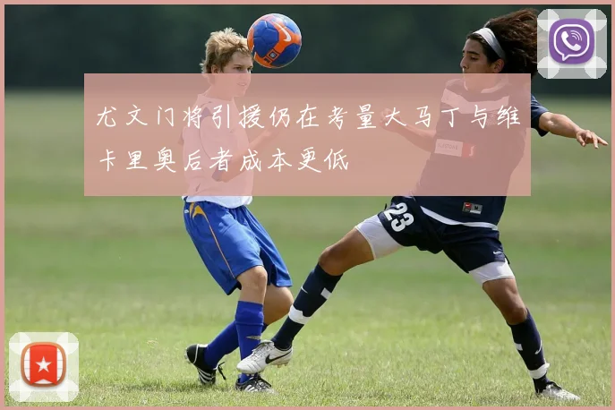尤文门将引援仍在考量大马丁与维卡里奥后者成本更低
